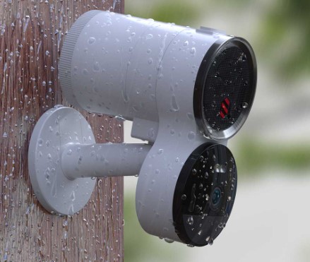 Deep Sentinel Sentinel Enterprise