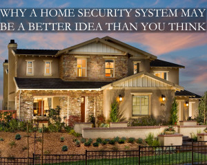 do you need home security